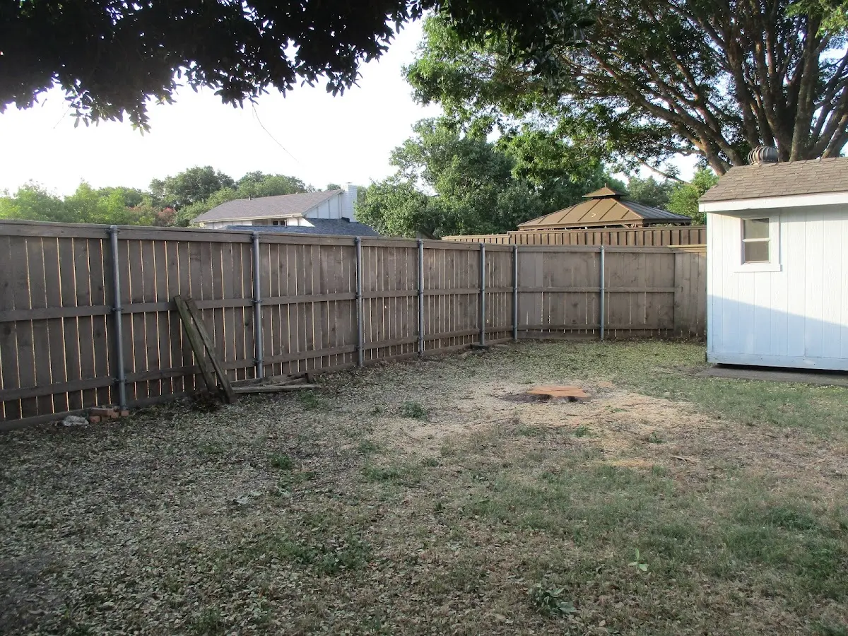 Cleared yard after professional tree removal in Tierra Amarilla